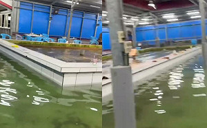 宜蘭釣蝦場淹水釣客超淡定！網笑稱：根本沉浸式釣蝦