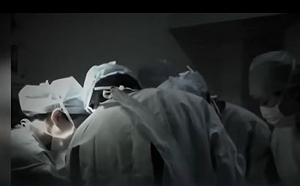 于朦朧案驚爆人體黑鏈！專家揭活摘到塑化展示「一條龍真相」