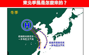 為何「東北季風」又濕又冷？專家揭關鍵原因