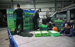 文雅畜牧場違規出貨！4600顆流入新莊　衛生局急曝業者名單：消費者可退換貨