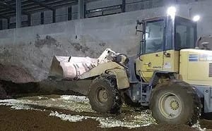 25萬顆芬普尼毒蛋銷毀畫面曝光！保七總隊全程押運確保無外流