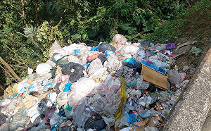 高雄月世界旁又見垃圾山！ 來源指向台南同集團傾倒