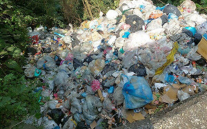 高市環保局漏夜清除田寮偷倒點  檢警掌握犯罪集團持續偵辦中