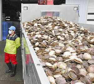 中國再禁日水產衝擊有限  業者早已開拓新通路