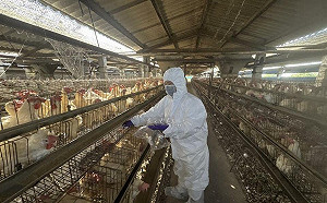 彰化啟動「芬普尼全面監測」  首批檢測34家超標即公布