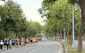 35國跑者匯聚台中國際馬拉松 展現運動之都國際魅力