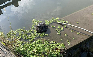 斥資35億整治鹿港溪被糟蹋！12天第8包垃圾 縣府震怒要逮人