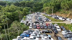 破獲全台最大權利車詐騙！扣押232輛權利車 市值破億