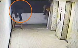 67歲「蜘蛛盜」萬華連續盜竊逾百萬！徒手爬5樓防不勝防