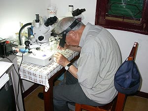 「抗瘧之父」連日清家屬捐6,274件稀有蠓科標本　助力台灣小黑蚊防治