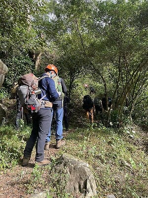 屏東5人疑誤食大花曼陀羅獲救　登山未投保擬開罰