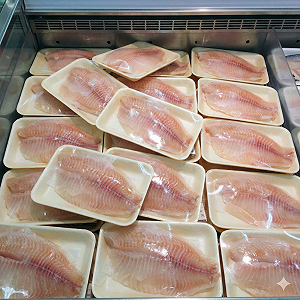 全聯台灣鯛首度驗出禁用藥物！專家揭恐怖連鎖效應：腸胃炎恐無藥可醫