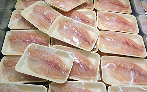 全聯台灣鯛首度驗出禁用藥物！專家揭恐怖連鎖效應：腸胃炎恐無藥可醫