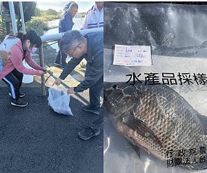 全聯台灣鯛驗出禁藥引恐慌！雲林縣府急追源頭　2萬尾魚遭封存