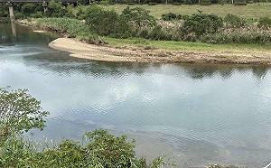 基隆河油污再現！台水全面停止取水 緊急調度可維持約10日供水