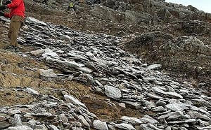 玉山零下2.7度！玉管處示警：主峰前400公尺路段冰痕明顯