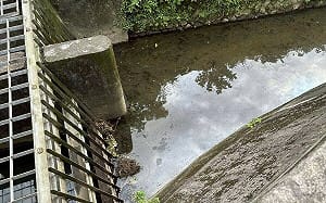 油水污染、停水危機接連爆　民進黨痛批謝國樑水治理全面失能 