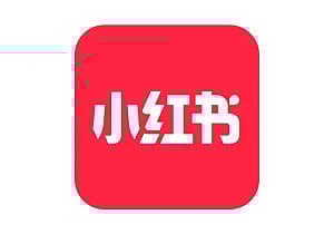 小紅書不遵守台灣平台規範被禁一堆人跳腳！林秉宥：反政府反到智商都不要了