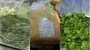 北市「火鍋料抽驗違規名單」驚見排隊名店！農藥、黃麴毒素等通通超標