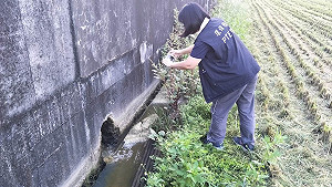 國慶連假偷排汙水 屏東環保局力查到底