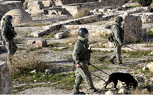 流別人的血就好  普亭下令外籍傭兵合法化