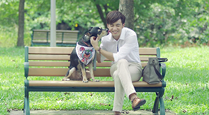 認養出新招！毛小孩出動陪你散步