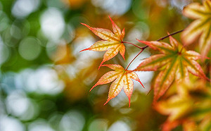 北部秋涼感明報到  中南部要再等等