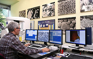 預測20年內人機將可結合   科學家憂恐成為新斷層