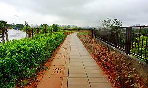 林口新闢新寮休閒步道   賞花看夜景都愜意