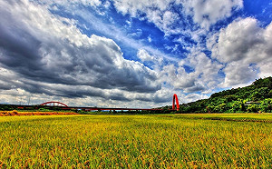 學者連署水利會改制對農民不利！農委會澄清：有誤解