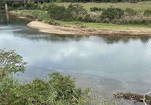 基隆河污染案鎖定貨輪廢油回收公司　5人遭羈押