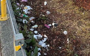 誇張！武嶺邊坡遭丟遍地垃圾  網怒：超沒公德心