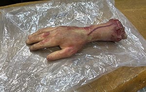 台中大里逼真斷掌掉落嚇壞路人  警依社維法送辦