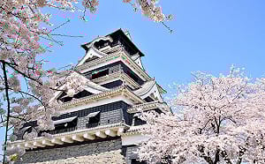 台南直飛「熊本、沖繩」兩新航點！12月底起航   市府：已準備好迎接日本旅客