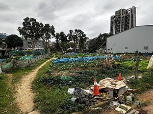 新北林口菜園衝突7旬翁身中4刀　凶嫌逃逸警追緝中