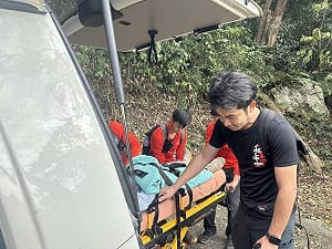 馬崙新山線步道台中2登山客遭虎頭蜂螫傷　1人送醫