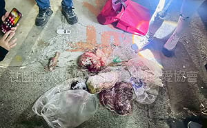 產業化？越南人在台販狗肉遭查獲卻難究責  動保團體：制度遭有心人利用