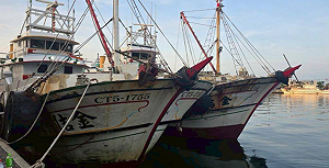 大型走私案！百萬包私菸闖關高雄興達港  金額破億元