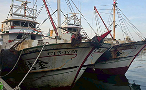 大型走私案！百萬包私菸闖關高雄興達港  金額破億元