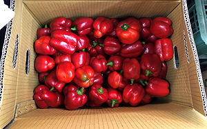 北市11月生鮮抽驗結果！甜椒、青蔥、菠菜檢出農藥殘留超標