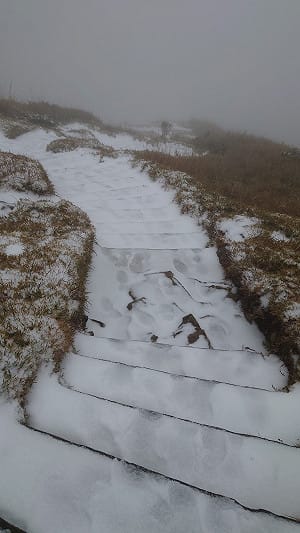 追雪注意！合歡山下午4時起交管  車輛只出不進