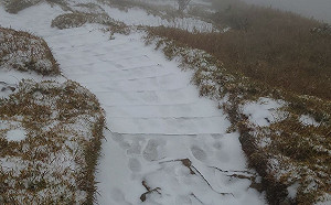 追雪注意！合歡山下午4時起交管  車輛只出不進