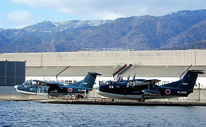 美國填補兩棲航空戰力缺口  擬租水陸兩用機部署印太