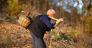 笑「美國斬殺線」? 數據卻揭殘酷真相 : 中國農村老人自殺率全球第一