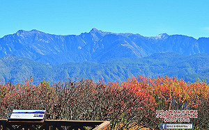 阿里山元旦追曙光勝算大！達人揭2大觀日點：還有機會眺望玉山雪景