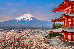 中台灣直達日本首都圈！星宇「台中—東京」航線3/30正式開航