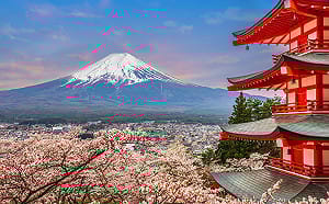 中台灣直達日本首都圈！星宇「台中—東京」航線3/30正式開航