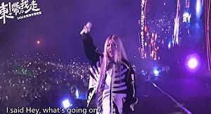 台東跨年「中央補助、地方執行」大獲好評！網：跨黨派合作典範