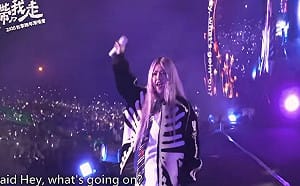 台東跨年「中央補助、地方執行」大獲好評！網：跨黨派合作典範