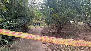 跨年命案！女子陳屍花蓮山區公墓  涉案男友是鄉代兒